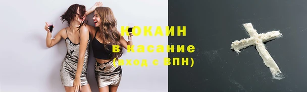 винт Надым