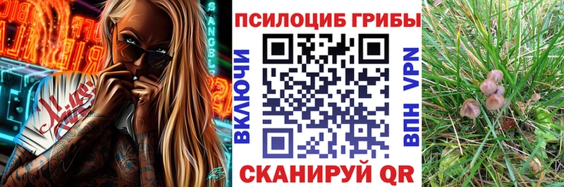 Псилоцибиновые грибы MAGIC MUSHROOMS  купить  цена  Приволжский 